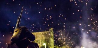Luce e devozione: La magia della Festa del Fuoco di Sant’Antonio