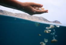 Furti di sabbia, l’ironia di Geppi Cucciari: “Volete un regalo dalla Sardegna? Portatevi a casa un bagnino di Olbia”